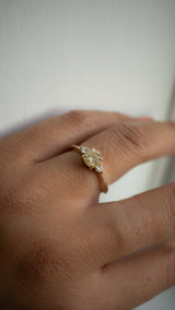 First Dance Ring - 0.76ct Round Light Champagne Salt & Pepper Diamond 3-stone ring *Ready-to-Ship