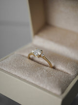 First Dance - 0.72ct Unique Salt & Pepper 3-stone Ring *SOLD