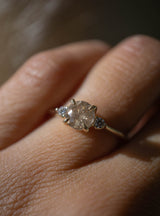 First Dance - 0.93ct Smoky Champagne Salt & Pepper Diamond 3-stone Ring *SOLD