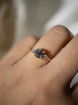 First Dance Ring - 1.05ct Round Salt & Pepper Diamond 3-stone ring *SOLD